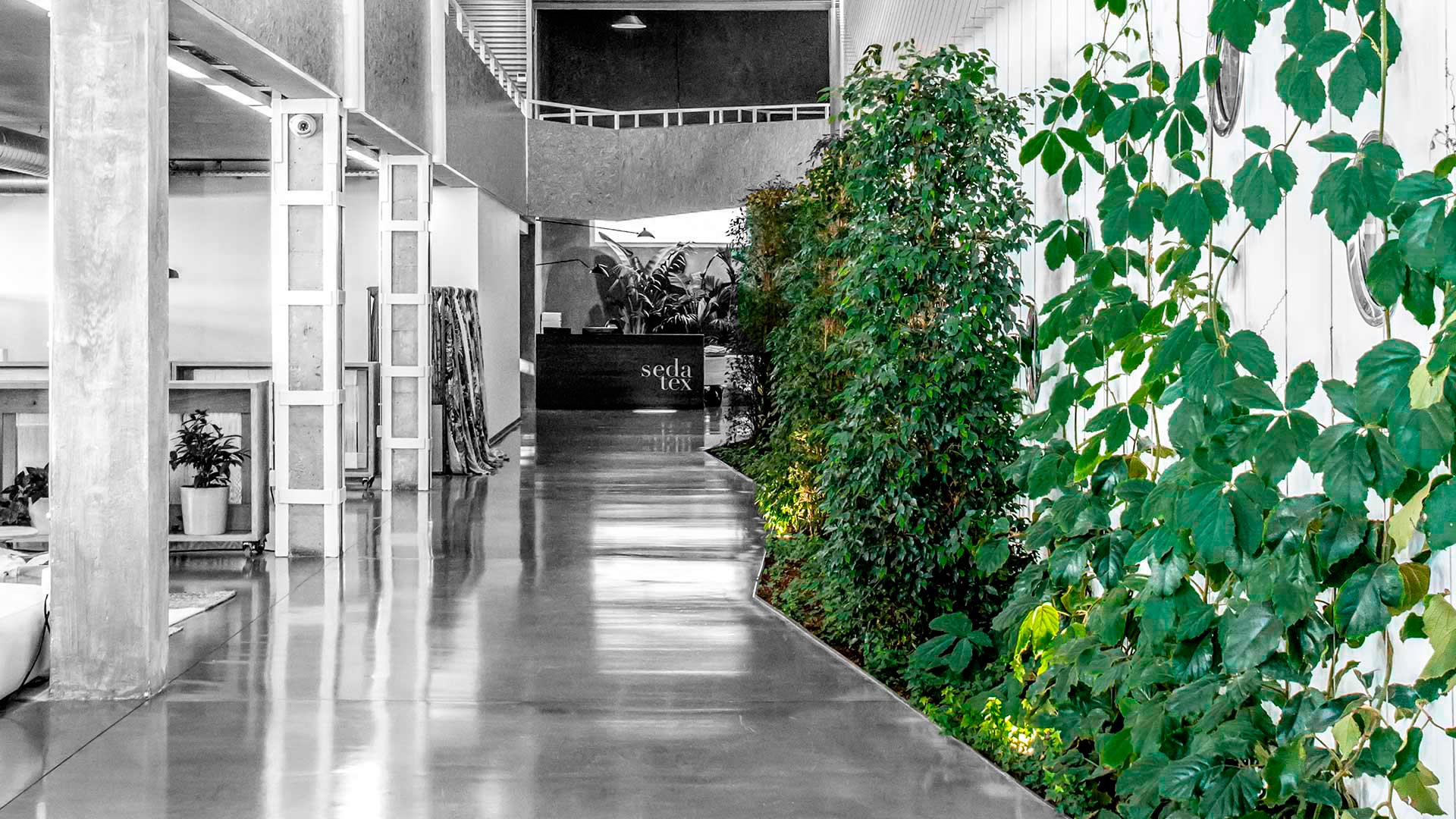 Sedatex Olessa Montserrat Arquitectura Sostenible Barcelona Cataluña