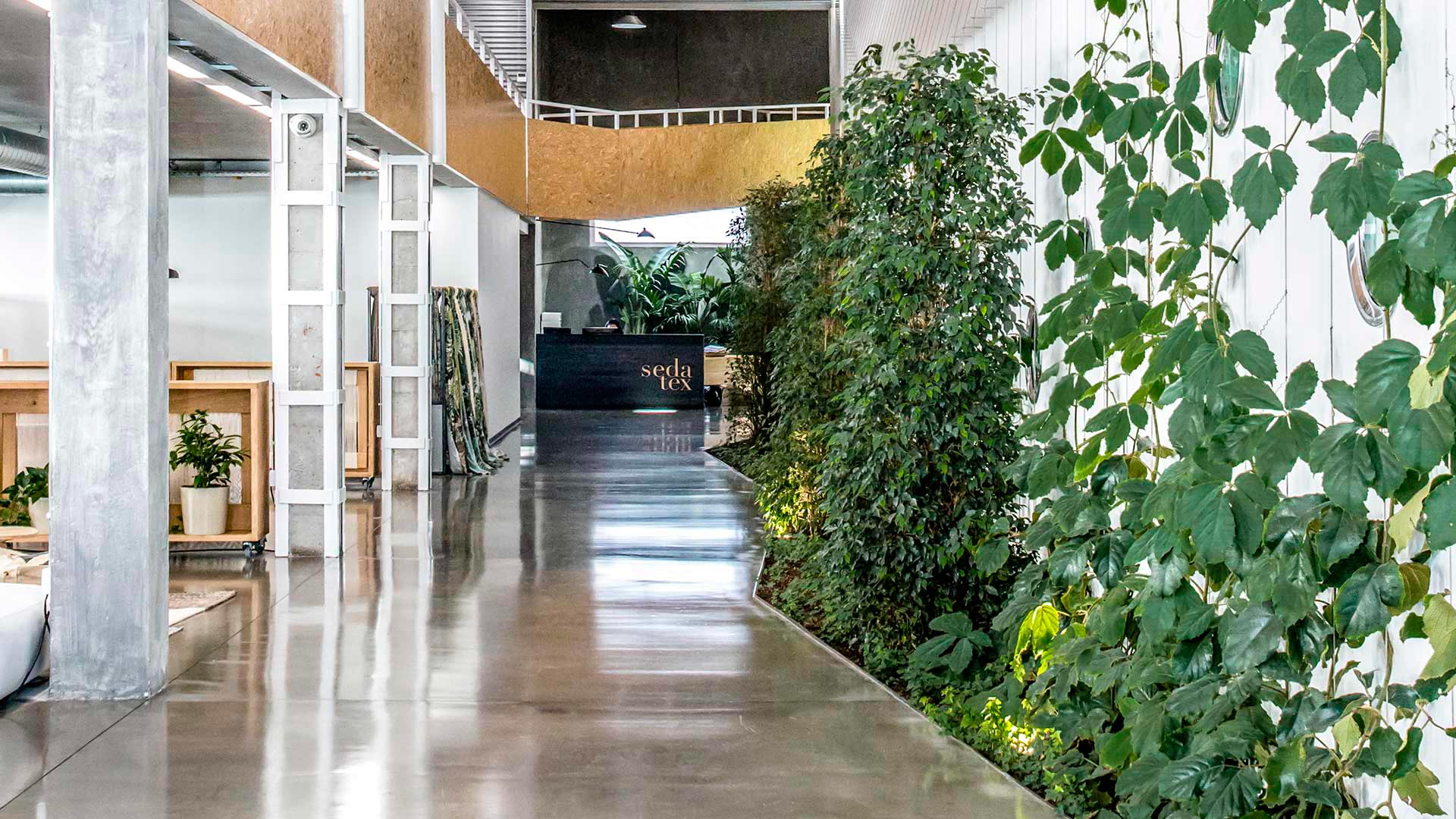 Sedatex Olessa Montserrat Arquitectura Sostenible Barcelona Cataluña
